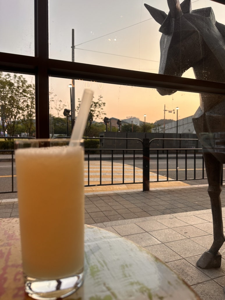 엘몽끄 이미지
