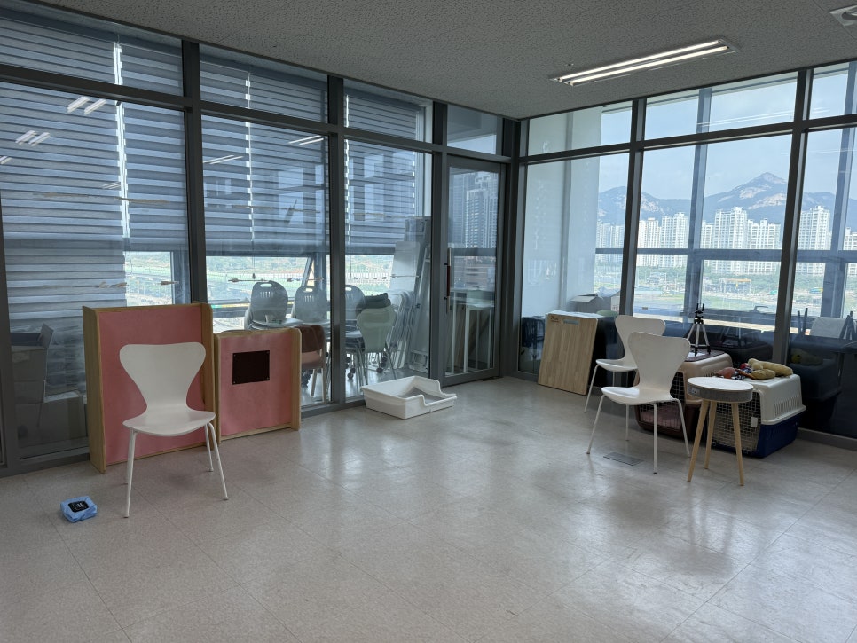 다산 강아지 산책 훈련, 프래들 애견학교 후기 — 사진 4