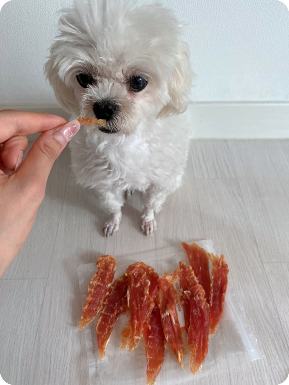 본아페티 강아지 수제간식 닭가슴살 후기 및 장점 — 사진 5