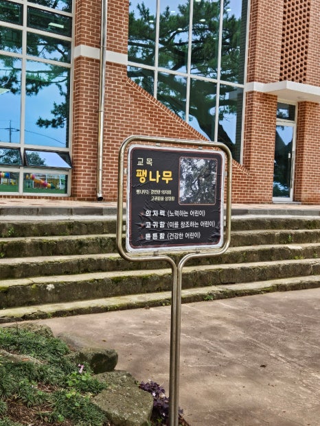 금악초등학교 이미지