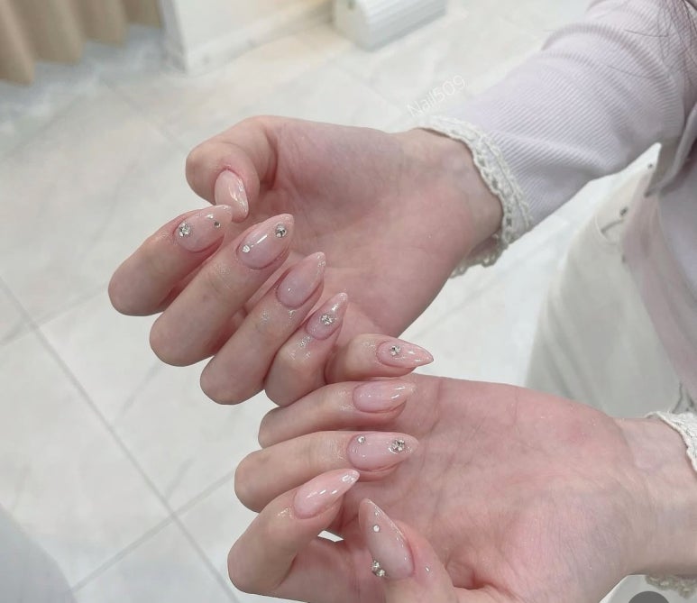 네일509 이미지