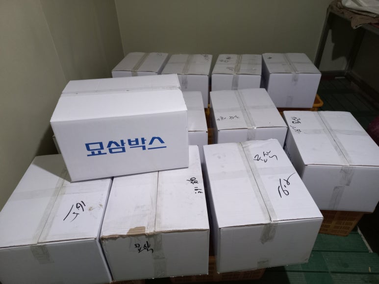 봄삼 이미지