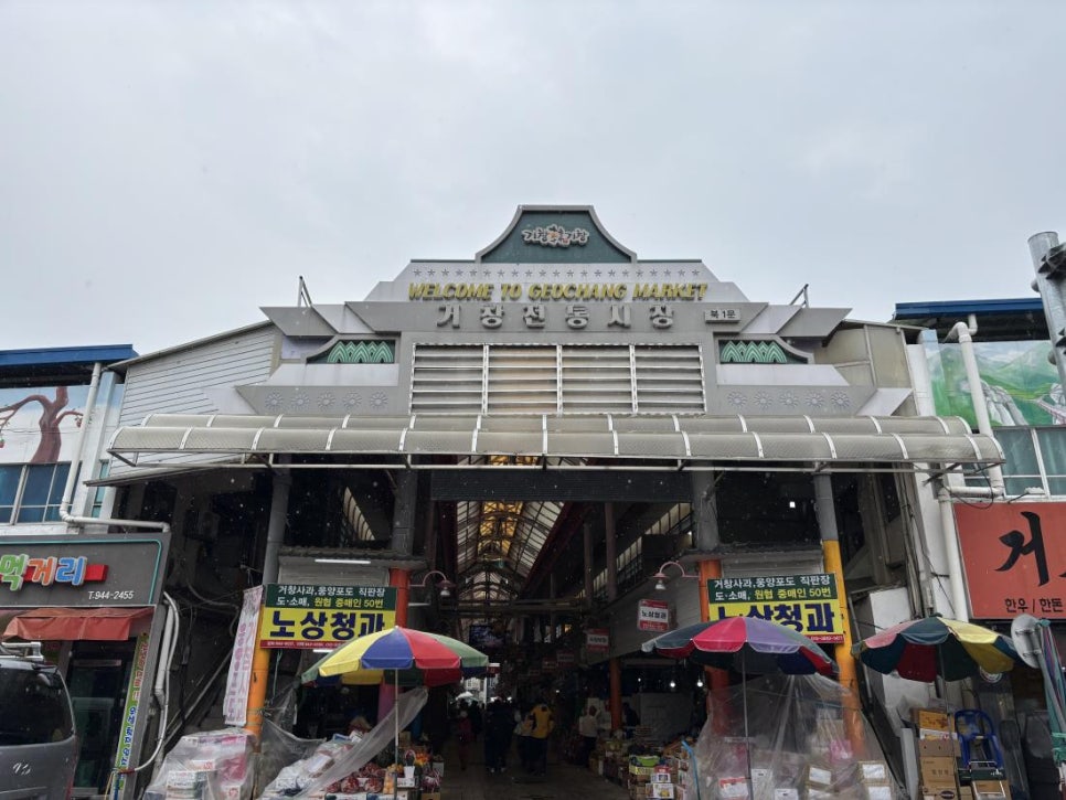 삼성여행사 이미지