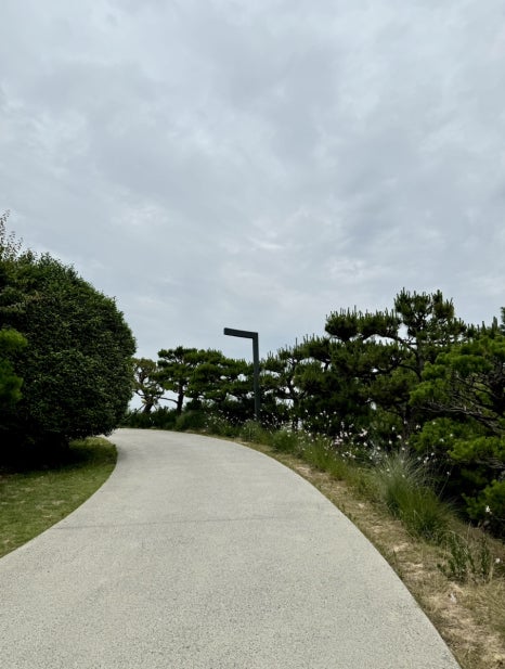 모모스커피도모헌점 이미지