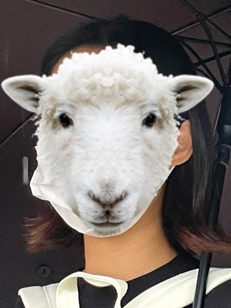 까꼬뽀꼬 이미지