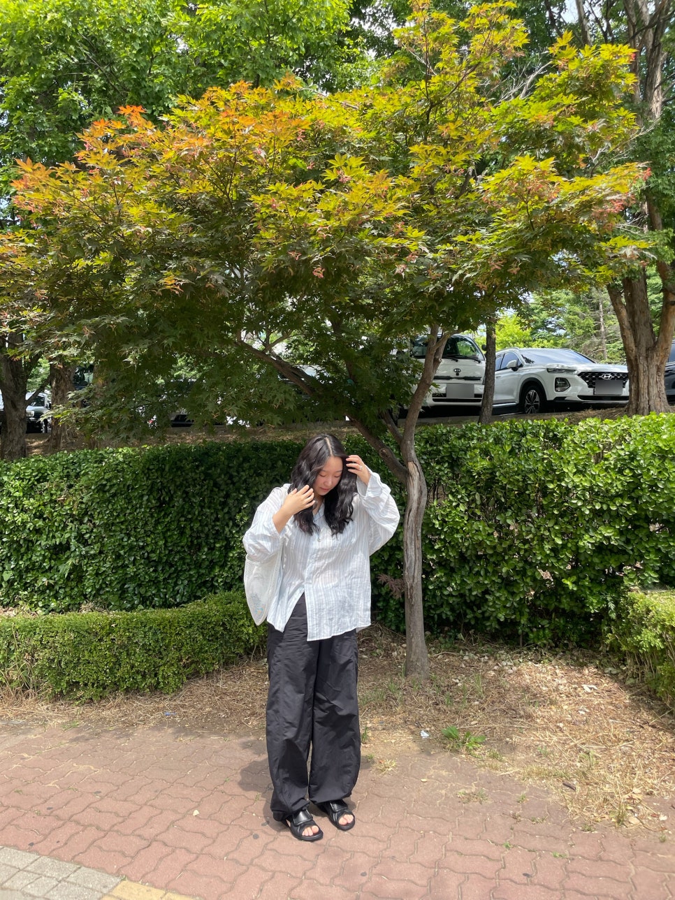 엘노어(ELNORE) 이미지