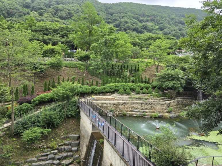 숲속 이미지