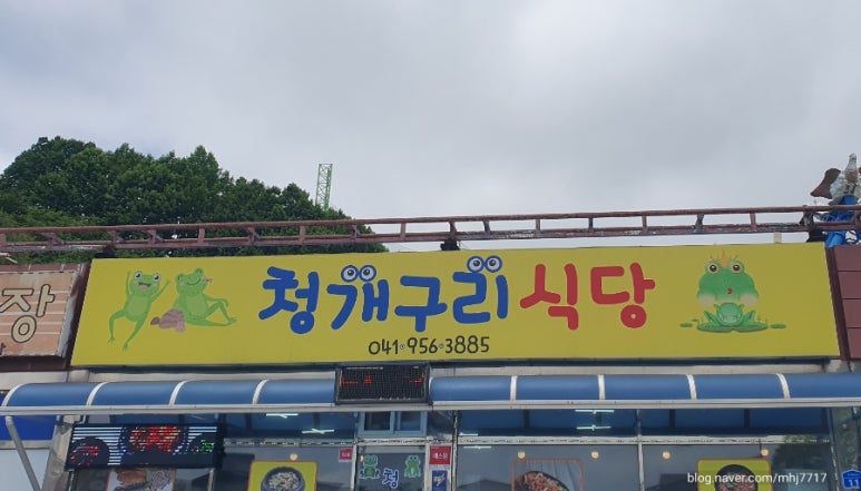 청개구리식당 이미지