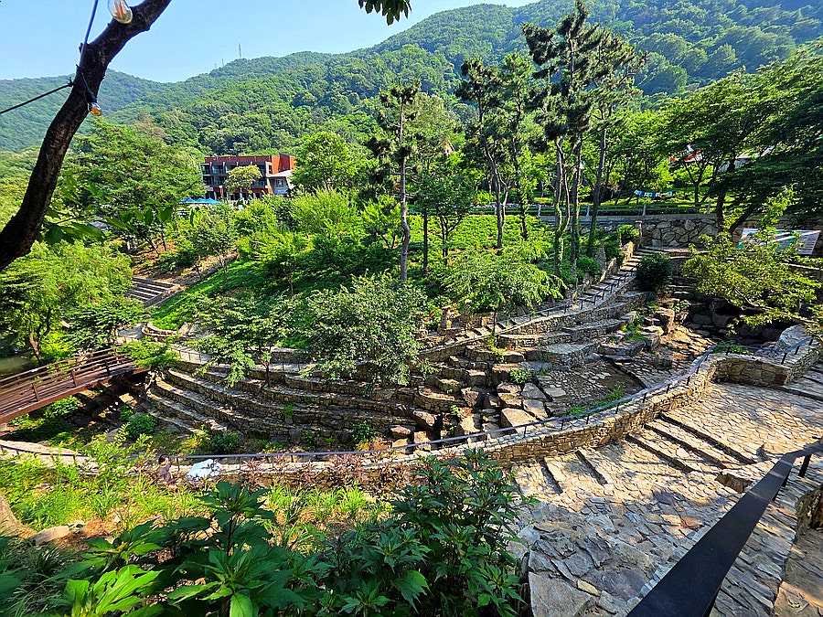 숲속 이미지