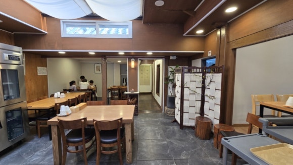 벽오동 사진 7