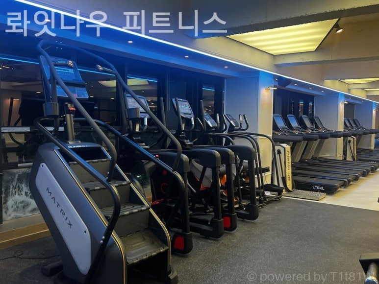 롸잇나우 이미지