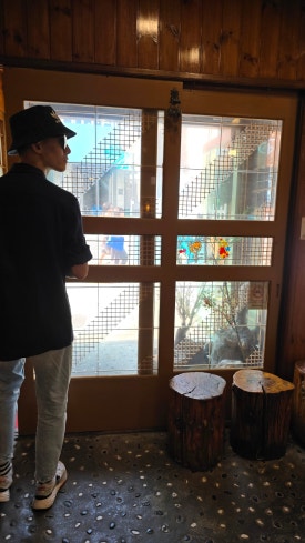 벽오동 사진 6