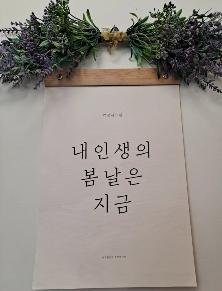 인트로아 이미지