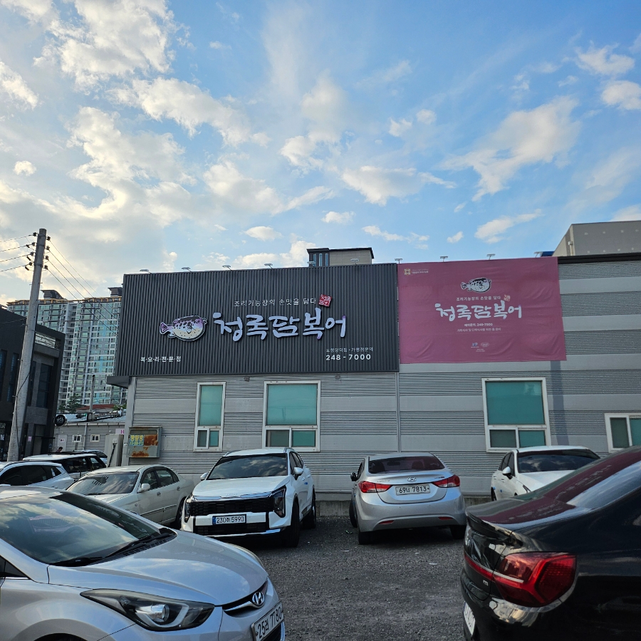 청록담 복어 이미지
