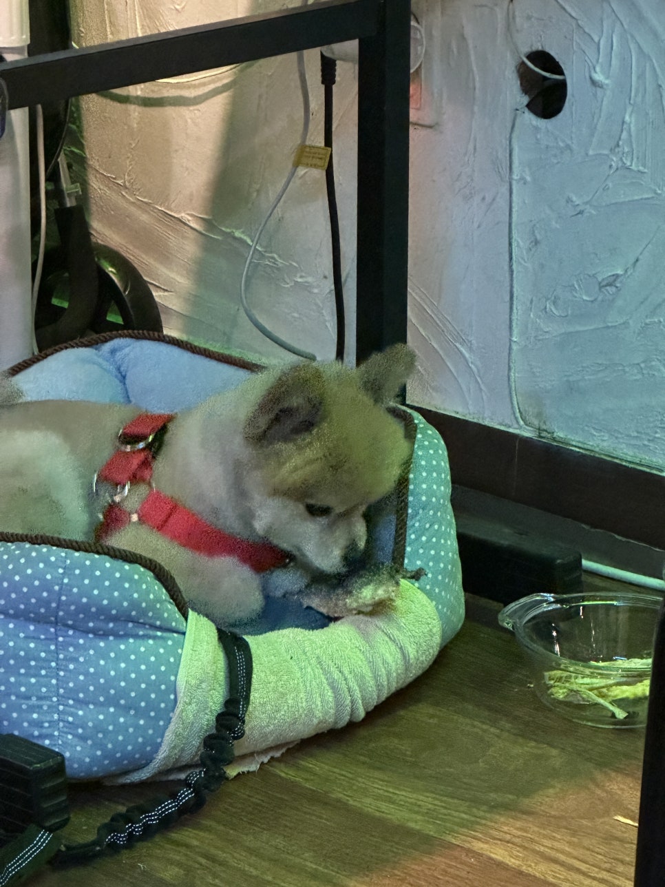 먹태의꿈 사진 6