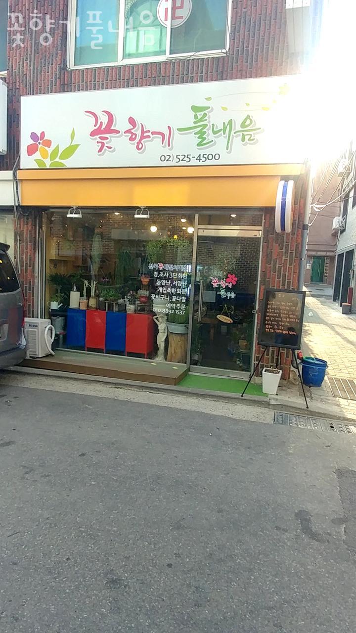 꽃향기풀내음 이미지
