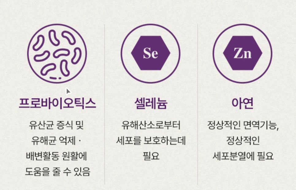 건강을 위한 선택, 웰리카 더블유 100억 유산균 소개 이미지 2