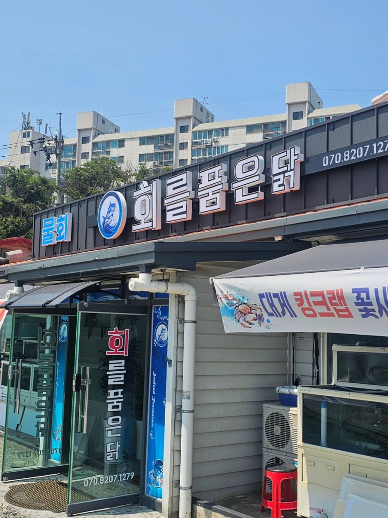 회를품은닭 이미지