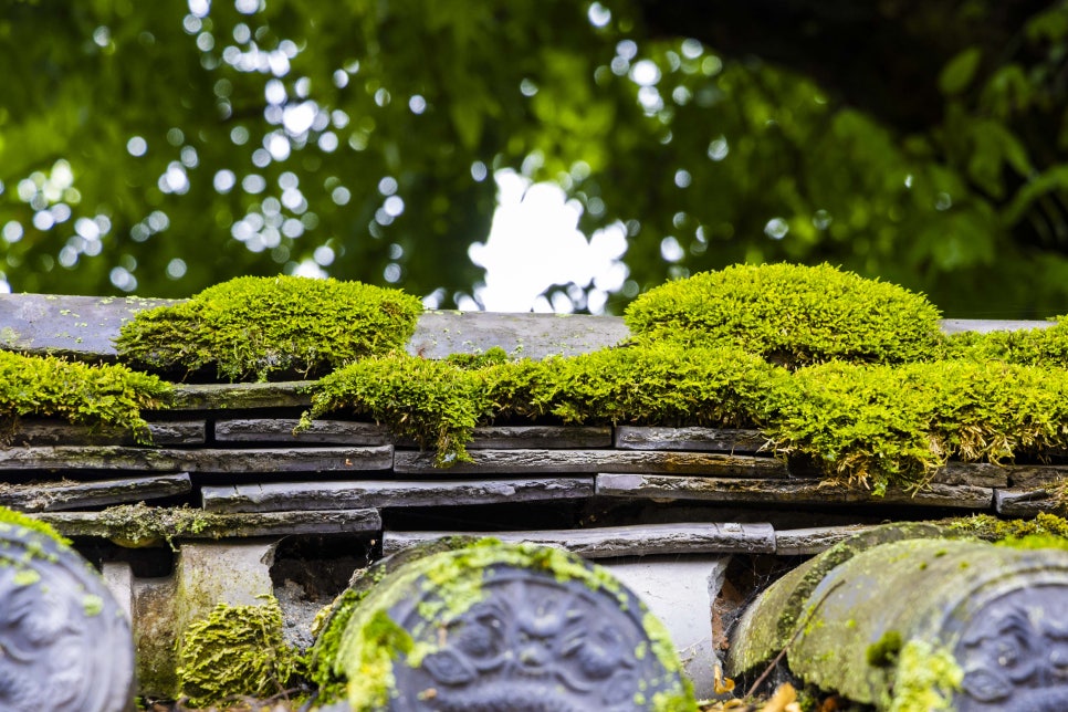 온달오픈세트장 이미지