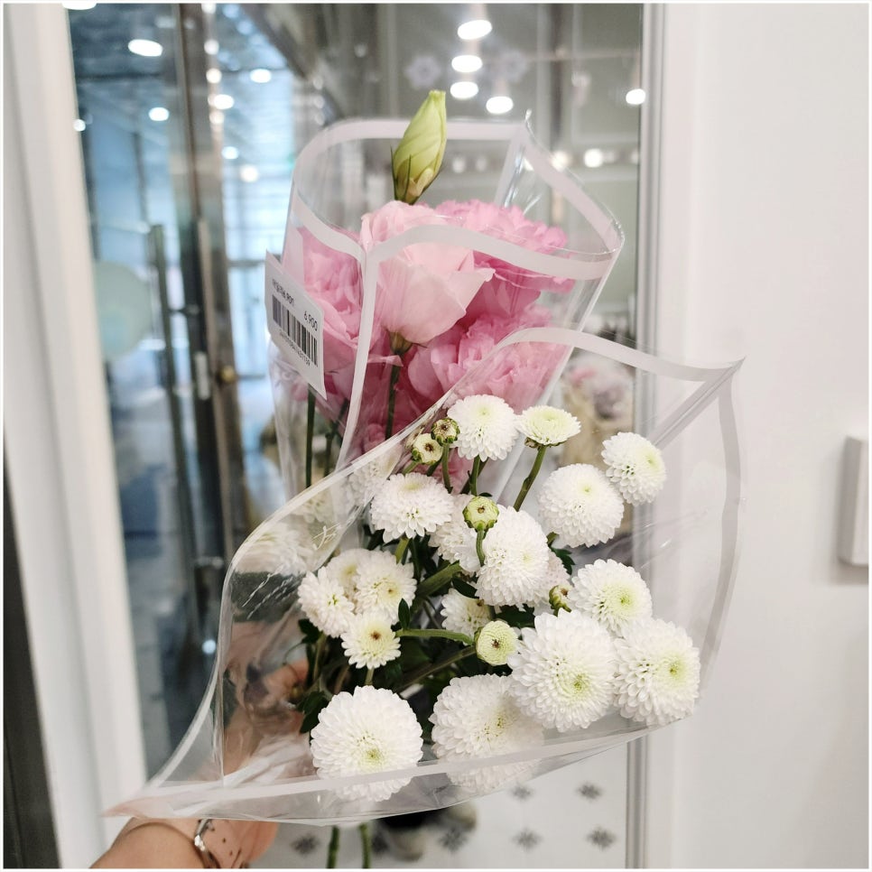 그로브블룸 이미지