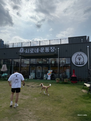 시로네 이미지