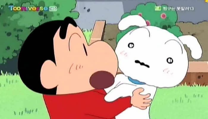 꽃길걷개 이미지