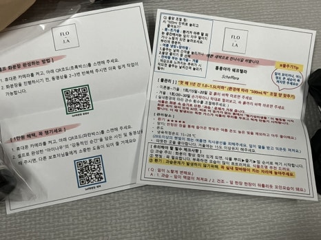 플로정아 이미지