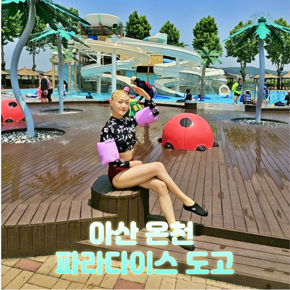 아산 파라다이스스파도고 온천 스파 워터파크 할인 총정리 : 네이버 블로그