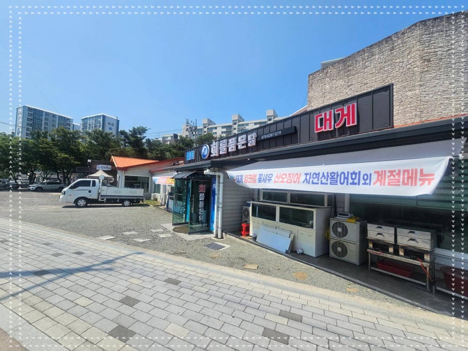 회를품은닭 이미지