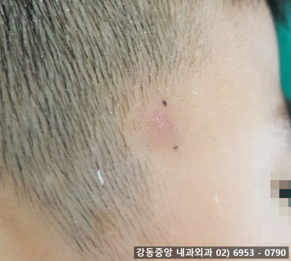 천보성 이미지
