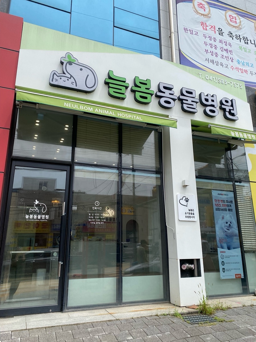 늘봄동물병원