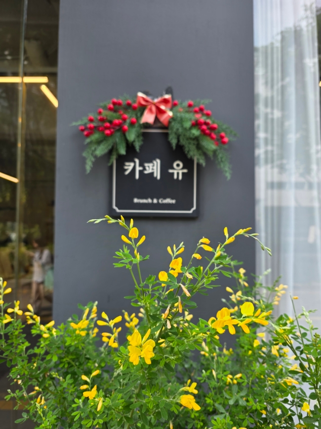 카페유 이미지
