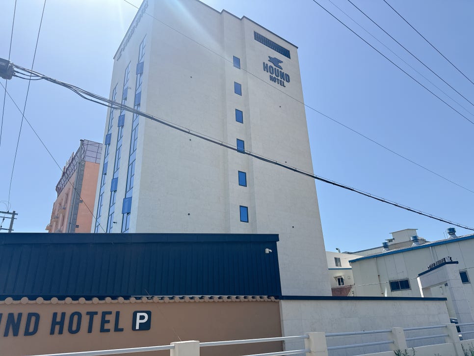 부산 애견 동반 호텔, 하운드 호텔 오시리아점 가성비 후기 — 사진 2
