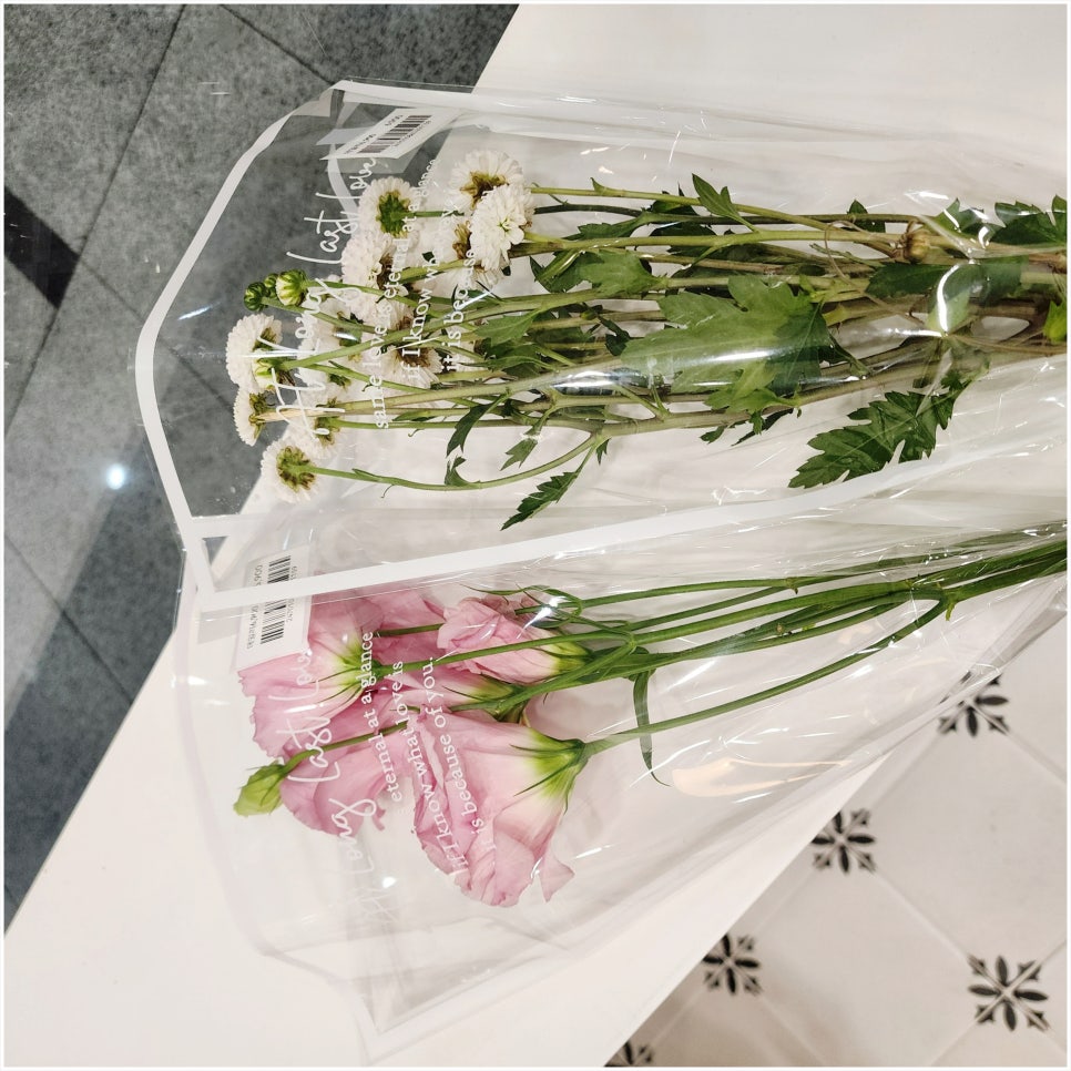 그로브블룸 이미지