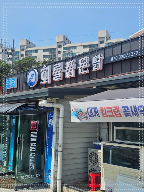 회를품은닭 이미지