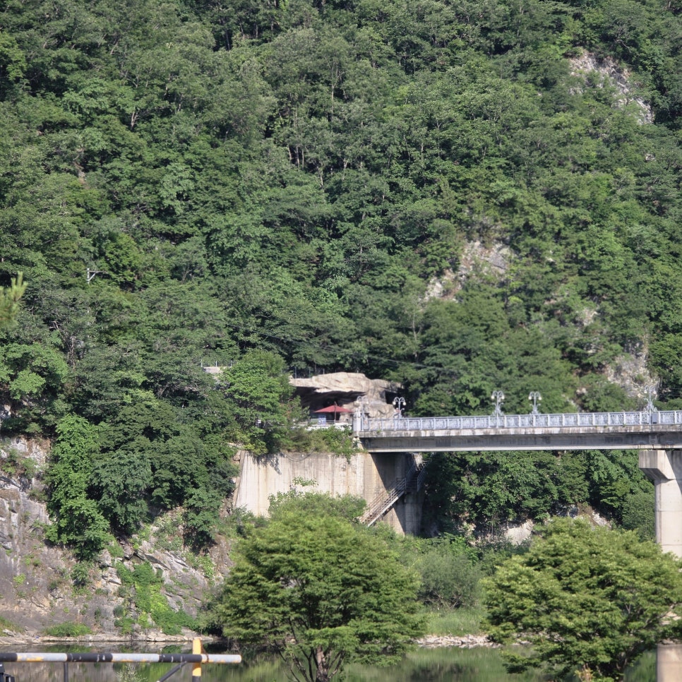 대영매운탕 이미지