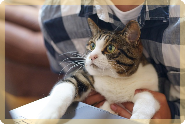 재택근무 생산성