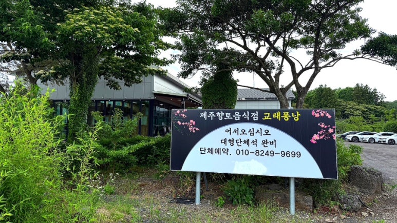 교래퐁낭 별관 사진 5