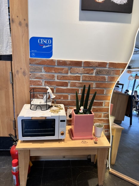 하이단양 하이디 이미지