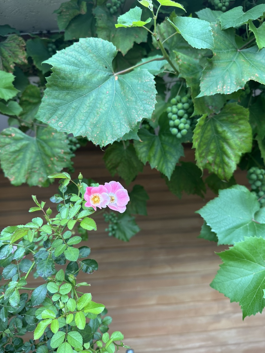 해성한식 이미지