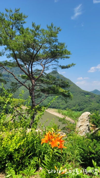 제비봉휴게소 이미지