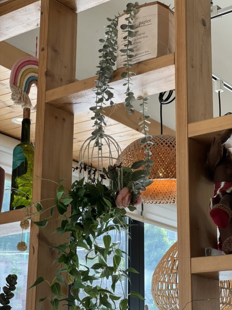 하이단양 하이디 이미지