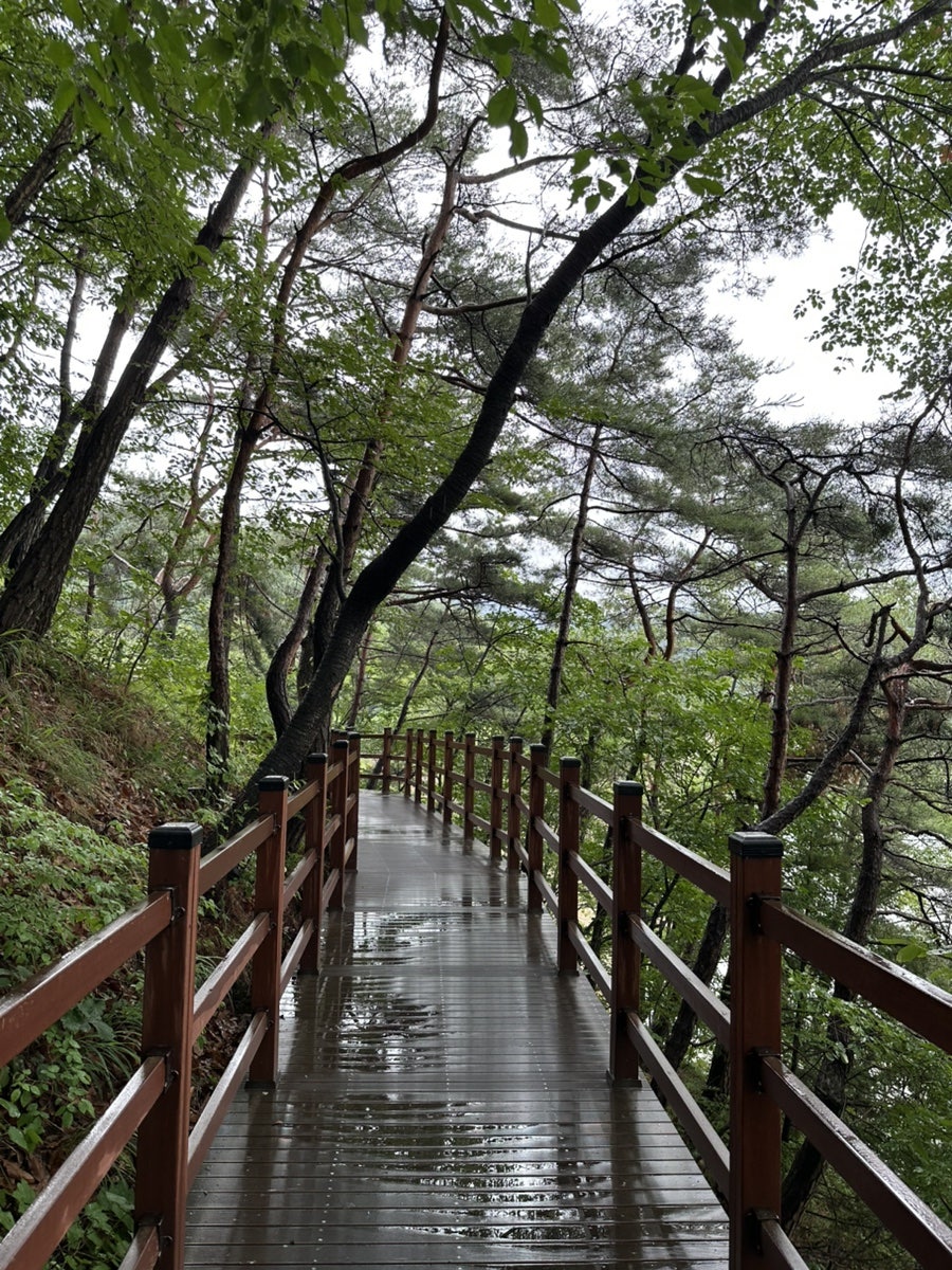 해성한식 이미지