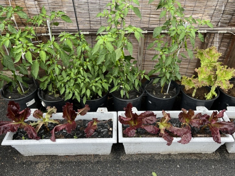 길목식당 이미지