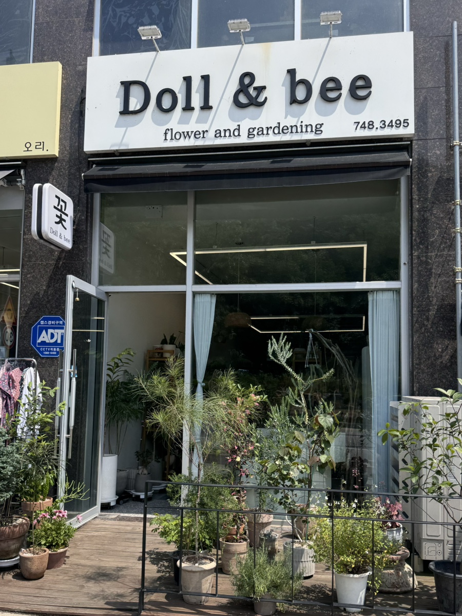 원주 돌앤비 꽃꽂이 원데이클래스: 초보도 가능한 힐링 체험