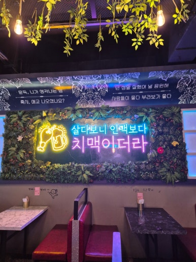 오늘통닭 교대점 사진 8
