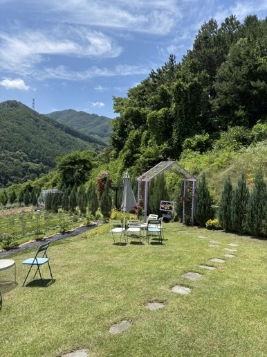 카페 보라길 이미지