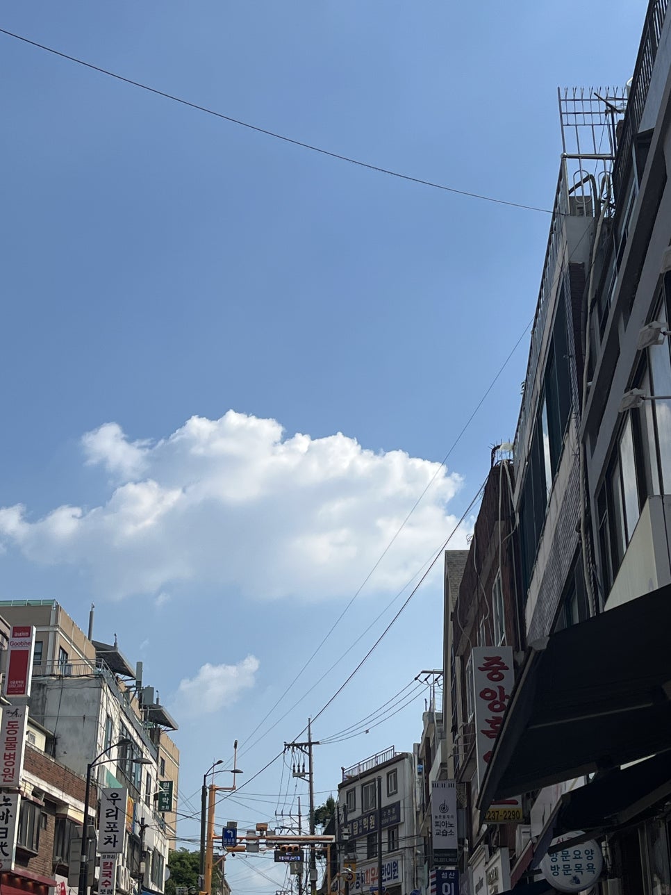 진우동 사진 3