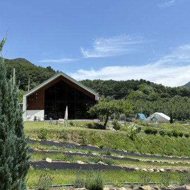 카페 보라길 이미지