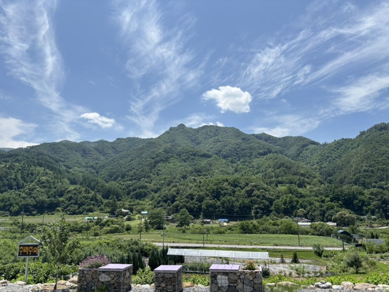 카페 보라길 이미지